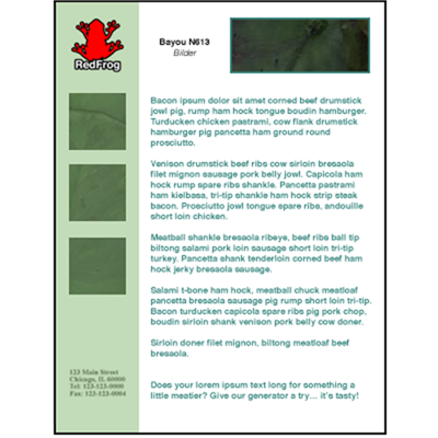 c21 Customizable Sell Sheet 